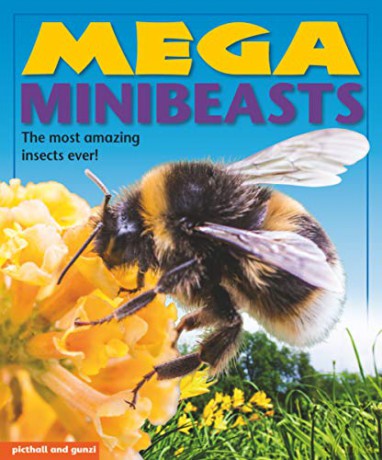 Mega Minibeasts (Mega Books) - Nina Filipek [KSIĄŻKA]