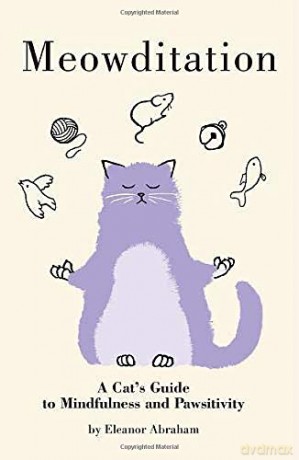 Meowditation: A Cat's Guide to Mindfulness and Pawsitivity - Eleanor Abraham [KSIĄŻKA]