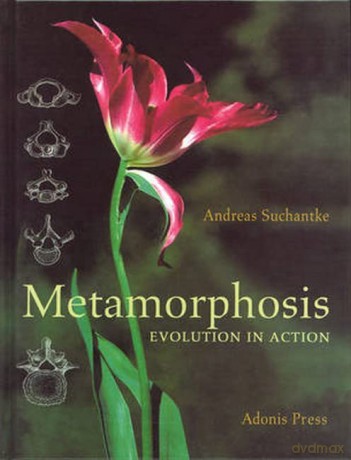 Metamorphosis: Evolution in Action - Andreas Suchantke [KSIĄŻKA]
