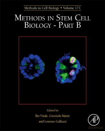 Methods in Stem Cell Biology - Part B (Volume 171) (Methods in Cell Biology, Volume 171) - Ilio Vitale [KSIĄŻKA]