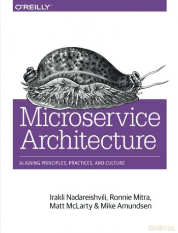 Microservice Architecture: Aligning Principles, Practices, and Culture - Irakli Nadareishvili [KSIĄŻKA]