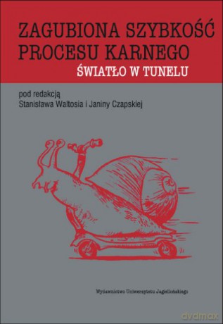 Zagubiona szybkość procesu karnego. Światło w tunelu [KSIĄŻKA]