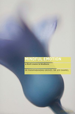 Mindful Emotion: A Short Course in Kindness - Jed Shamel [KSIĄŻKA]