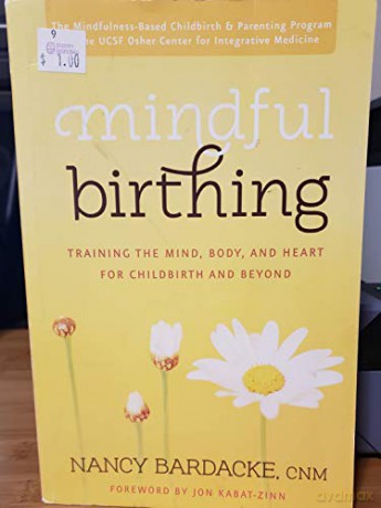 mindful-birthing-training-the-mind-body-and-heart-for-childbirth-and-beyond [KSIĄŻKA]