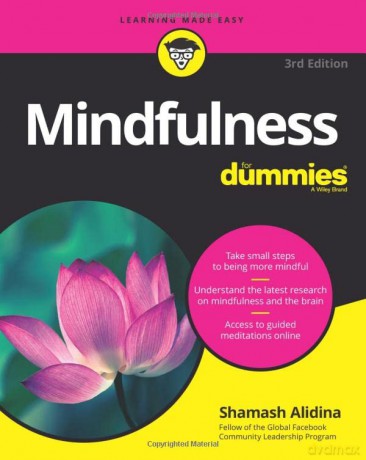 Mindfulness For Dummies, 3rd Edition - Alidina [KSIĄŻKA]