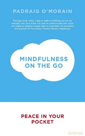 Mindfulness on the Go: Peace in Your Pocket - Padraig O'Morain [KSIĄŻKA]