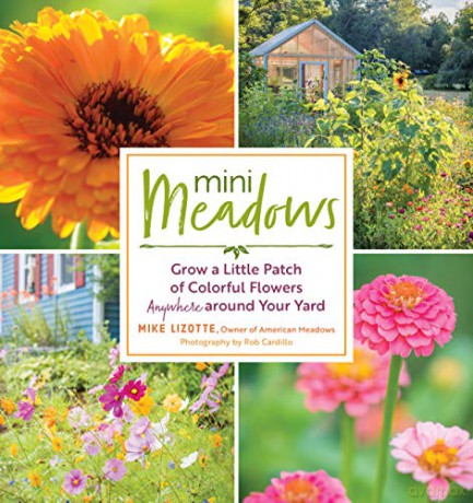 Mini Meadows: Grow a Little Patch of Colorful Flowers Anywhere Around Your Yard - Mike Lizotte [KSIĄŻKA]