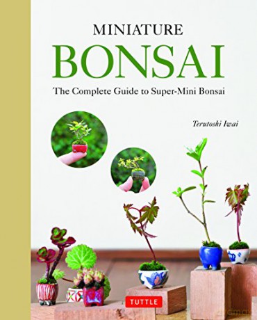 Miniature Bonsai: The Complete Guide to Super-Mini Bonsai - Terutoshi Iwai [KSIĄŻKA]