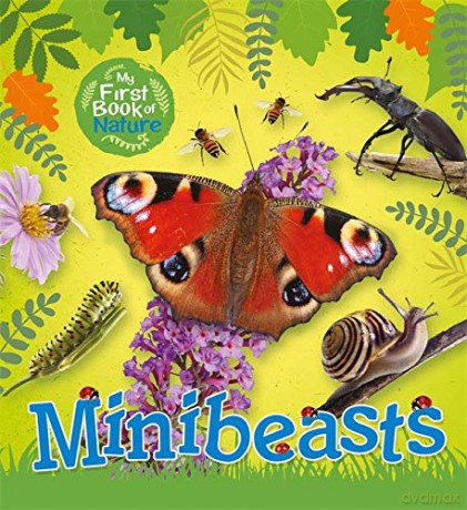Minibeasts - Victoria Munson [KSIĄŻKA]