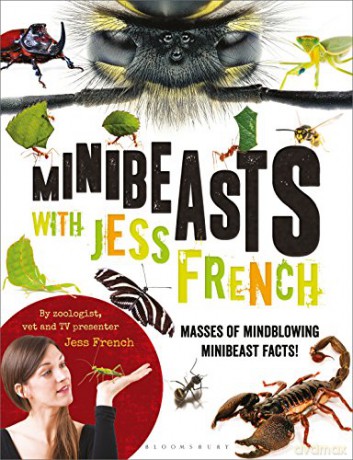 Minibeasts with Jess French: Masses of mindblowing minibeast facts! - Jess French [KSIĄŻKA]