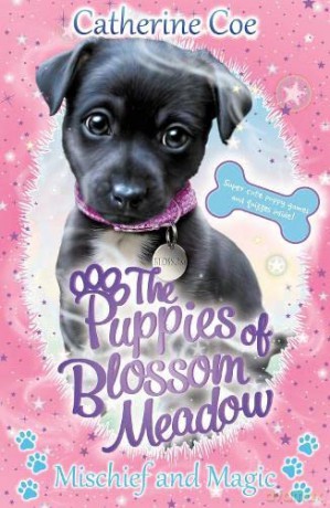 Mischief and Magic (Puppies of Blossom Meadow #2) - Catherine Coe [KSIĄŻKA]