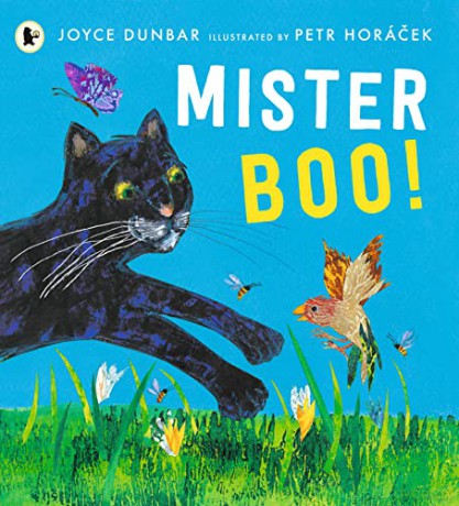 Mister Boo! - Joyce Dunbar [KSIĄŻKA]
