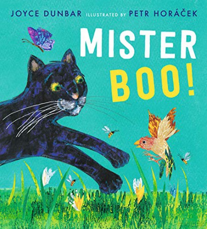 Mister Boo! - Joyce Dunbar [KSIĄŻKA]