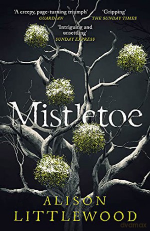 Mistletoe: 'The perfect read for frosty nights' HEAT - Alison Littlewood [KSIĄŻKA]