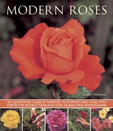Modern Roses: An Illustrated Guide to Varieties, Cultivation and Care, with Step-by-step Instructions and Over 150 Beautiful Photographs - Andrew Mikolajski [KSIĄŻKA]