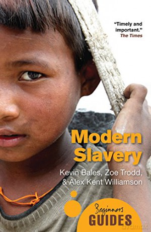 Modern Slavery: A Beginner's Guide (Beginner's Guides) - Alex Kent Williamson [KSIĄŻKA]