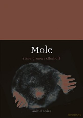 Mole (Animal) - Steve Gronert Ellerhoff [KSIĄŻKA]