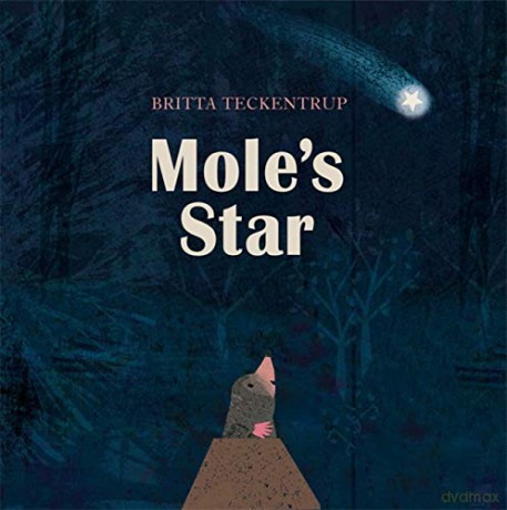 Mole's Star - Britta Teckentrup [KSIĄŻKA]