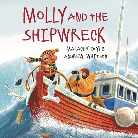 Molly and the Shipwreck - Malachy Doyle [KSIĄŻKA]
