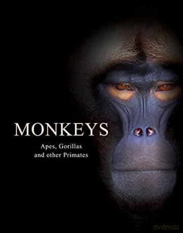 Monkeys: Apes, Gorillas and other Primates (Animals) - Tom Jackson [KSIĄŻKA]