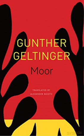 Moor (The Seagull Library of German Literature) - Gunther Geltinger [KSIĄŻKA]