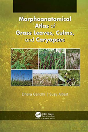 Morphoanatomical Atlas of Grass Leaves, Culms, and Caryopses - Dhara Gandhi [KSIĄŻKA]