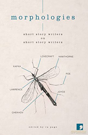 Morphologies: Short Story Writers on Short Story Writers - Simon Van Booy [KSIĄŻKA]