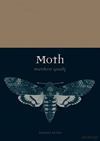 Moth (Animal) - Matthew Gandy [KSIĄŻKA]