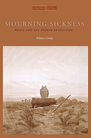 Mourning Sickness: Hegel and the French Revolution (Cultural Memory in the Present) - Rebecca Comay [KSIĄŻKA]