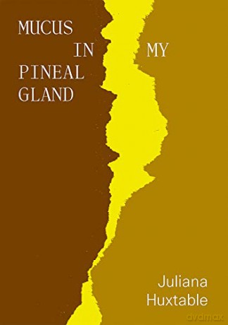 Mucus in My Pineal Gland - Juliana Huxtable [KSIĄŻKA]