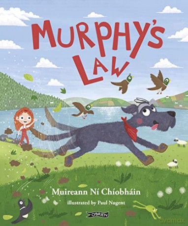 Murphy's Law [KSIĄŻKA]