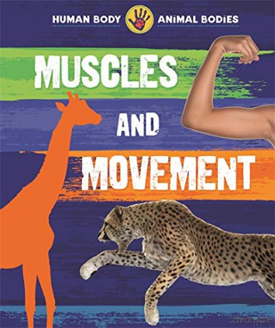Muscles and Movement - Izzi Howell [KSIĄŻKA]