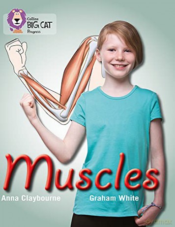 Muscles: Band 03 Yellow/Band 16 Sapphire (Collins Big Cat Progress) - Anna Claybourne [KSIĄŻKA]