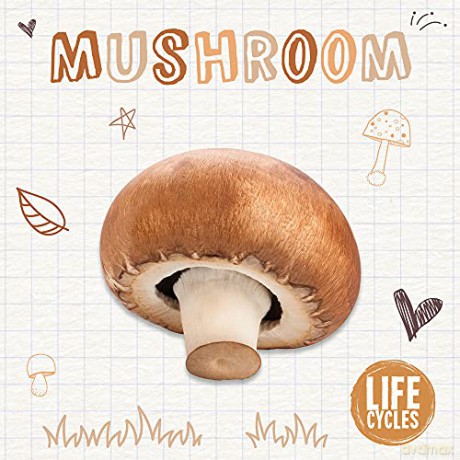 Mushroom (Life Cycles) - Brenda McHale [KSIĄŻKA]