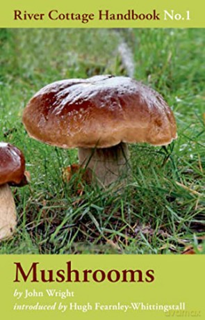 Mushrooms (River Cottage Handbook) - John Wright [KSIĄŻKA]
