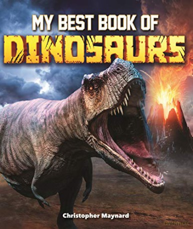 My Best Book of Dinosaurs - Christopher Maynard [KSIĄŻKA]