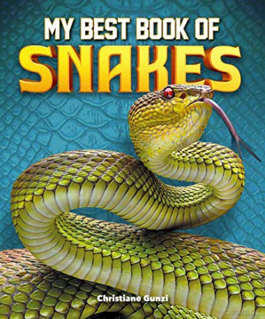 My Best Book of Snakes - Christiane Gunzi [KSIĄŻKA]