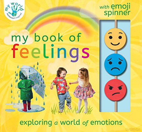 My Book of Feelings: Exploring a world of emotion (My World) - Nicola Edwards [KSIĄŻKA]