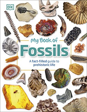 My Book of Fossils: A fact-filled guide to prehistoric life [KSIĄŻKA]