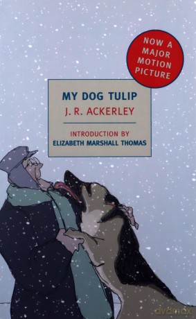 My Dog Tulip: Movie Tie-In Edition (New York Review Books Classics) - J. R. Ackerley [KSIĄŻKA]