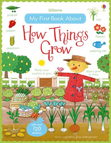 My First Book About How Things Grow (My First Books): 1 (All About) - Felicity Brooks [KSIĄŻKA]