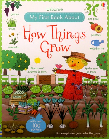 My First Book About How Things Grow (My First Books): 1 (All About) - Felicity Brooks [KSIĄŻKA]