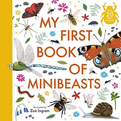 My First Book of Minibeasts (Zoe Ingram's My First Book of...) - Zoë Ingram [KSIĄŻKA]