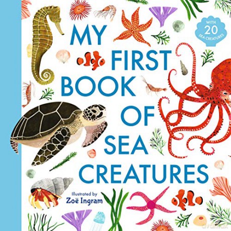 My First Book of Sea Creatures (Zoe Ingram's My First Book of...) - Zoë Ingram [KSIĄŻKA]