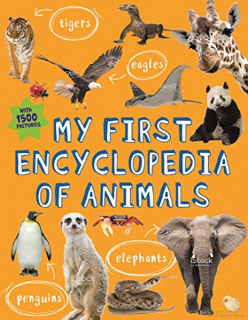 My First Encyclopedia of Animals (Kingfisher First Reference) - Editors of Kingfisher [KSIĄŻKA]