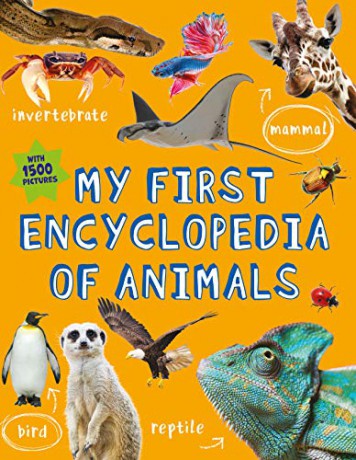 My First Encyclopedia of Animals (My First Reference...Kingfisher, 4) - John Farndon [KSIĄŻKA]