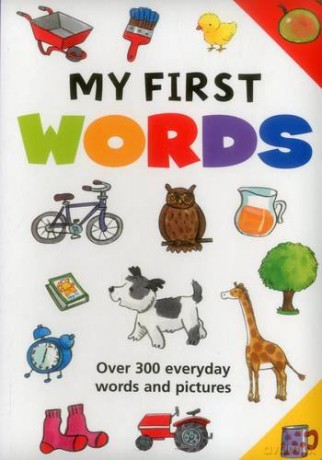 My First Words: Over 300 Everyday Words and Pictures - Jan Lewis [KSIĄŻKA]