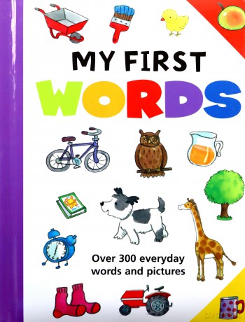My First Words: Over 300 Everyday Words and Pictures - Jan Lewis [KSIĄŻKA]