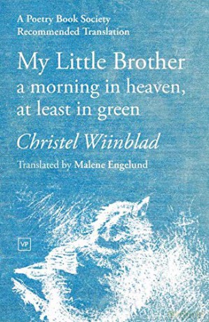 My Little Brother - Christel Wiinblad and translated by Malene Engelund [KSIĄŻKA]