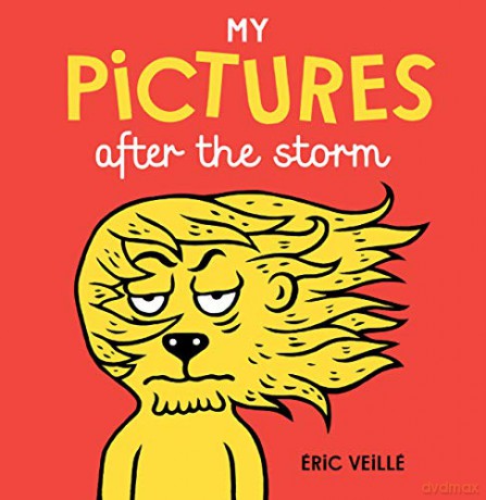 My Pictures after the Storm - Eric Veillé [KSIĄŻKA]